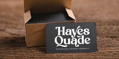 Rustic Delight Font Poster 6
