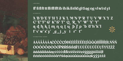 Rustic Delight Font Poster 14