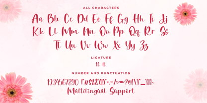 Valittey Font Poster 2