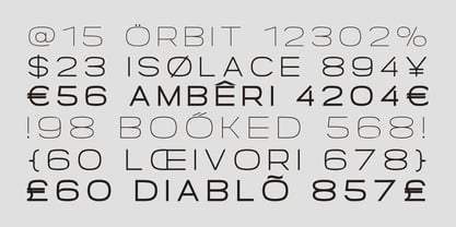 Borndia Font Poster 14