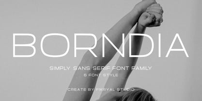 Borndia Font Poster 1