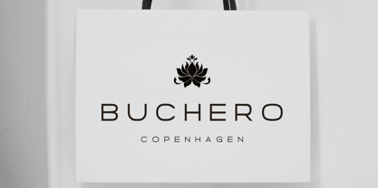 Borndia Font Poster 7