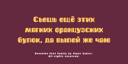 Brusnika Font Poster 6