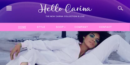 Botigood Script Font Poster 3