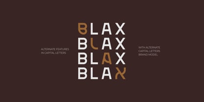 Blax Medium Font Poster 2
