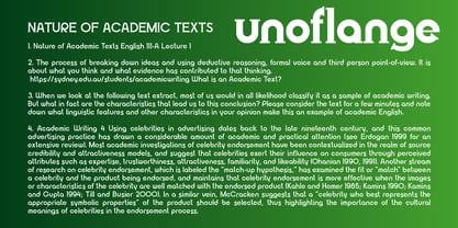 Unoflange Font Poster 6