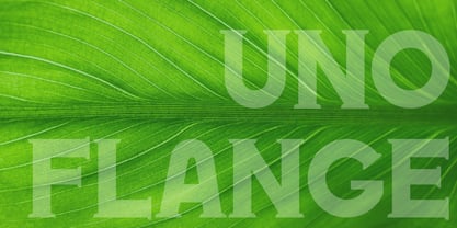 Unoflange Font Poster 7
