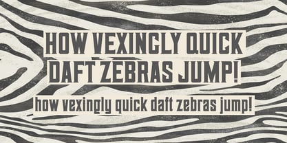 Neue William 506 Font Poster 2