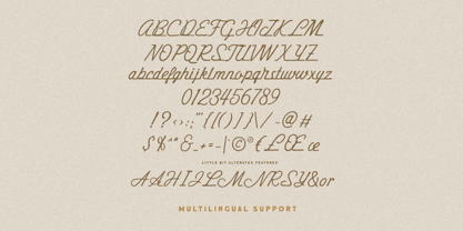 Hustle Trip Bold Font Poster 5
