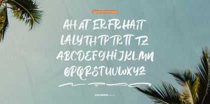 Aloha Sumericon Font Poster 12