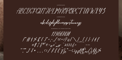 Henryta Bradley Font Poster 7