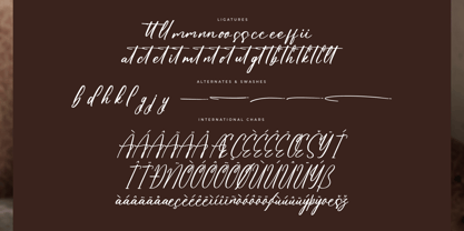 Henryta Bradley Font Poster 8