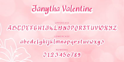 Janytha Valentine Font Poster 5