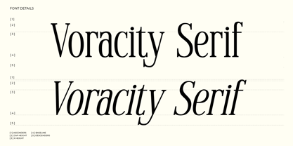 Voracity Serif Display Font Poster 3