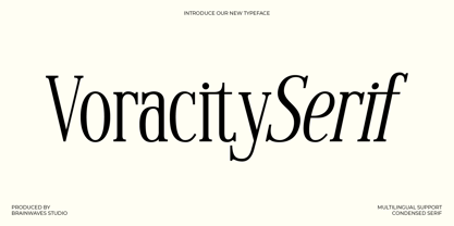 Voracity Serif Display Font Poster 1