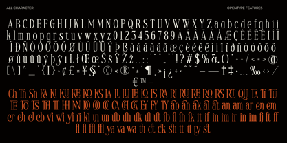 Voracity Serif Display Font Poster 6