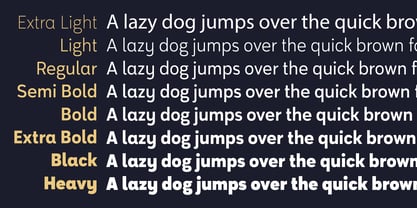 Pragmatus Font Poster 8