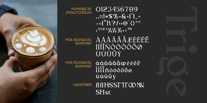Trige Font Poster 2