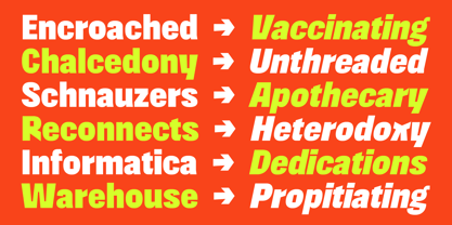 403 Absently Font Poster 7