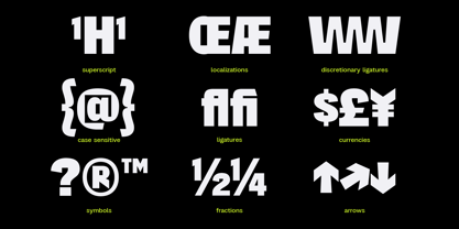 403 Absently Font Poster 6