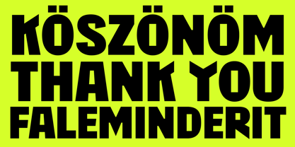 403 Absently Font Poster 15