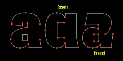 403 Absently Font Poster 9