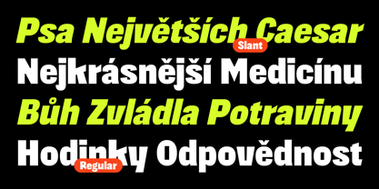 403 Absently Font Poster 4