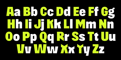 403 Absently Font Poster 2