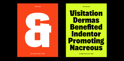 403 Absently Font Poster 12