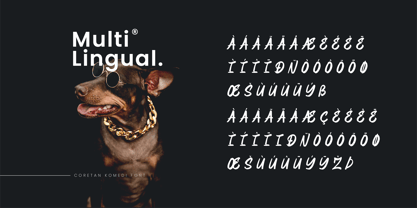 Coretan Komedi Font Poster 9