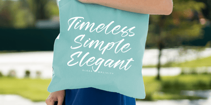 Winters Times Font Poster 4