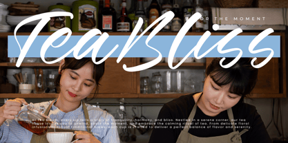 Winters Times Font Poster 13