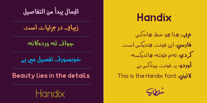 SF Handix Font Poster 4