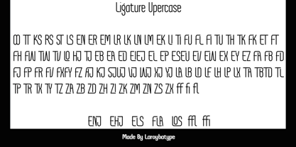 Wanguke Font Poster 11