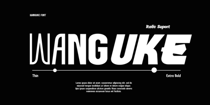 Wanguke Font Poster 7
