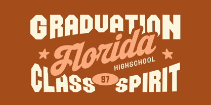 Newpitch Script Font Poster 8