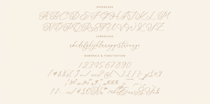 Rosalia Elegant Font Poster 14