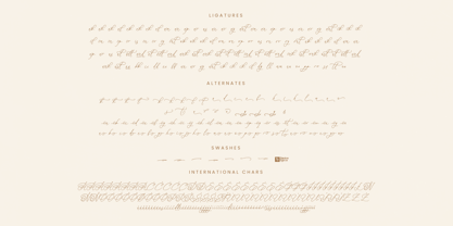 Rosalia Elegant Font Poster 15