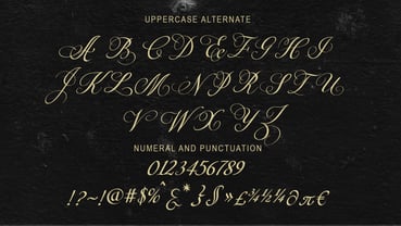 Flapping Font Poster 7