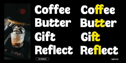 Multum Font Poster 12