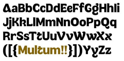 Multum Font Poster 8
