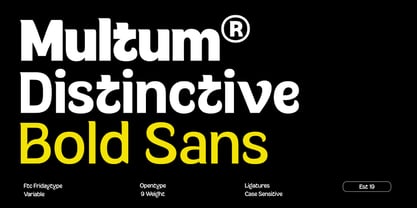 Multum Font Poster 10