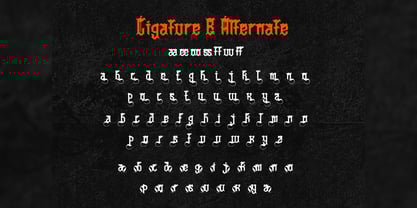 Cestizlav Font Poster 6