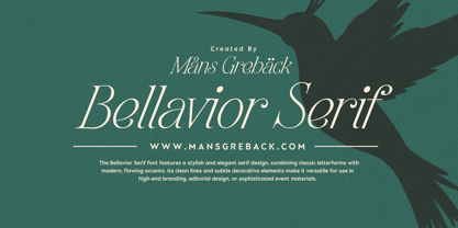 Bellavoir Delight Font Poster 5