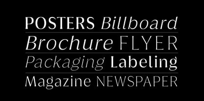 Griggs Flare Font Poster 2