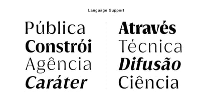 Griggs Flare Font Poster 8