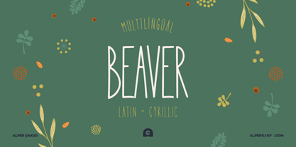 Beaver Fuente Póster 8