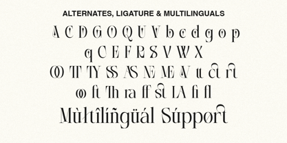 Ausle Font Poster 10