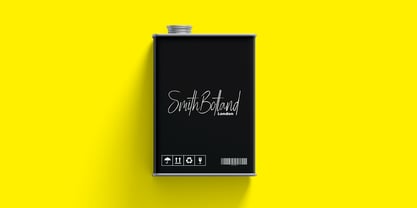 Magnetta Handwriting Font Poster 3