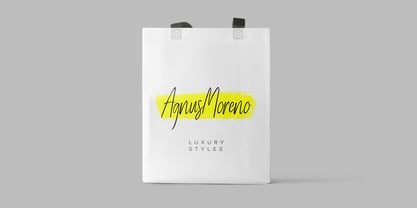 Magnetta Handwriting Font Poster 2